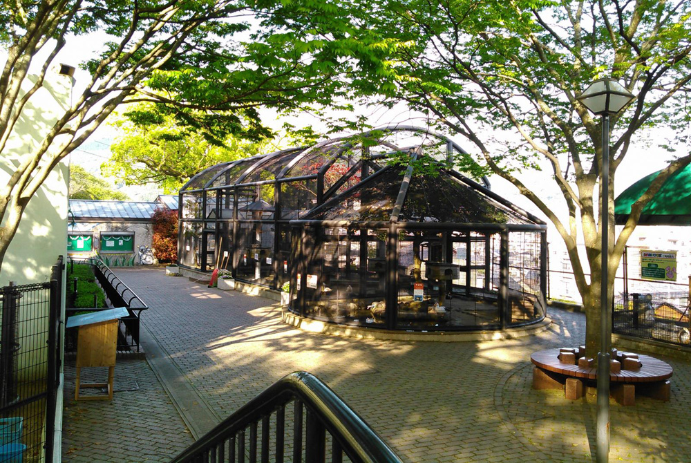 長崎市の子育て支援情報 園庭で遊ぼう!