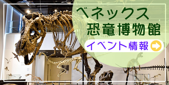 長崎市の子育て支援情報 園庭で遊ぼう！